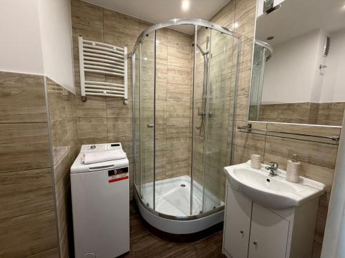 a bathroom with a shower and a sink and a toilet at Apartament Sudeckie Kamyki in Głuszyca