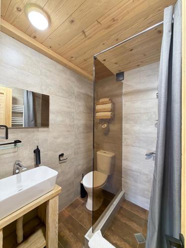 a bathroom with a toilet and a sink and a shower at Hotel Borjomi Verde in Borjomi