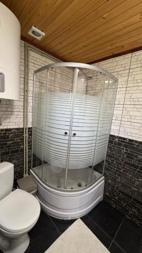 a bathroom with a shower with a toilet and a tub at Demyaniv House in Tatariv