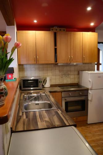 a kitchen with a sink and a white refrigerator at Farma Wenet in Broumov