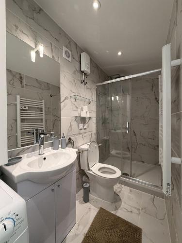 a bathroom with a sink and a toilet and a shower at *Climatisé* Duplex en hyper centre refait à neuf in Le Puy-en-Velay