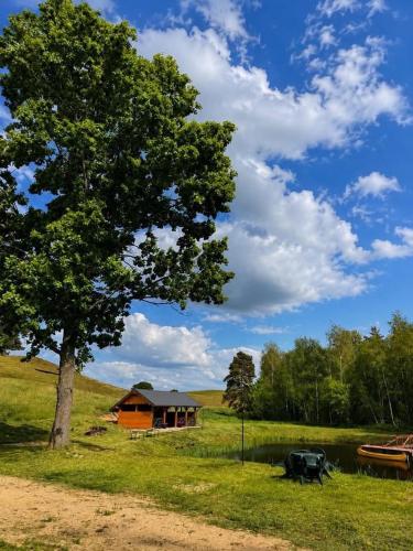 a tree and a house next to a lake at Dolina snów in Kruklanki