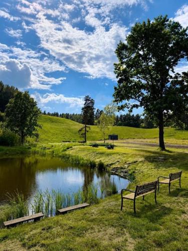 two benches sitting next to a pond in a park at Dolina snów in Kruklanki