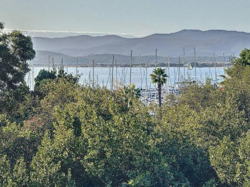 Apart 4 p, sea view, terraces, swimming pool, A/C