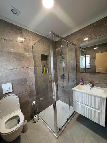 a bathroom with a shower and a toilet and a sink at Apartmani Đurišić in Posušje