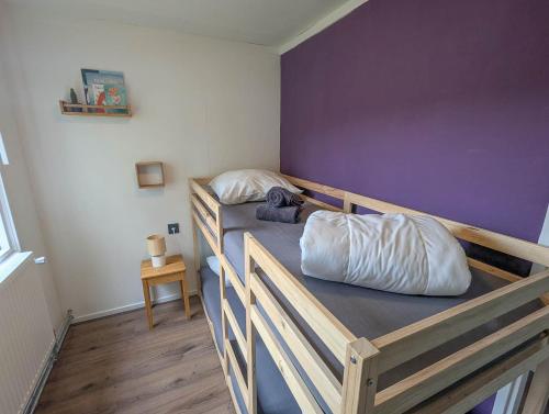 two bunk beds in a room with a purple wall at Chalet Siësta in Anloo - Next to the forest in Anloo