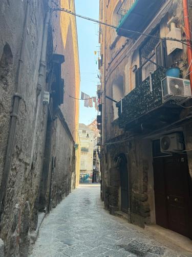 Napoli centro, dimora storica con mura greche