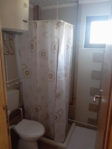 a bathroom with a toilet and a shower curtain at Četiri sestre in Žabljak