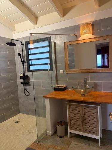 a bathroom with a sink and a mirror and a shower at Kaz mer veille in Les Avirons