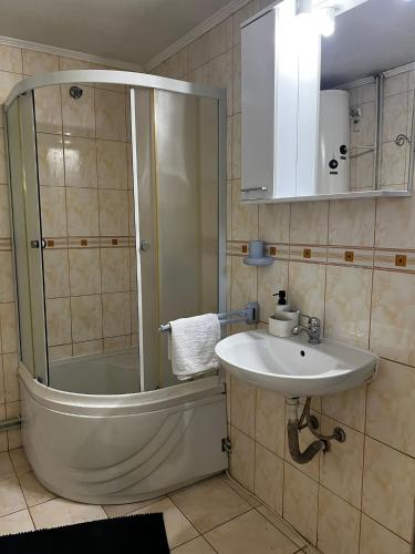 a bathroom with a shower and a sink at Casa Dany in Zărneşti