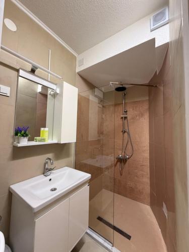 a bathroom with a shower and a sink and a mirror at NINAS Apartments in Elshani
