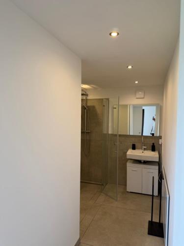 a bathroom with a shower and a sink at Strandhaus Störtebeker in Koserow
