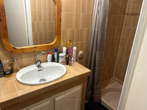 a bathroom with a sink and a shower at Cosy house studio in Saint-Aunès