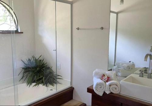 a bathroom with a shower and a sink and a mirror at Alto Paraiso in Teresópolis
