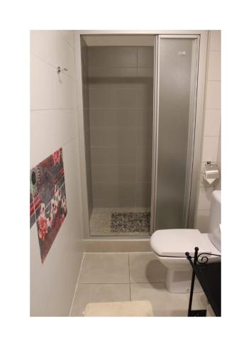 a bathroom with a shower and a toilet in it at Villa Noah Apartement 2 in Novi Vinodolski