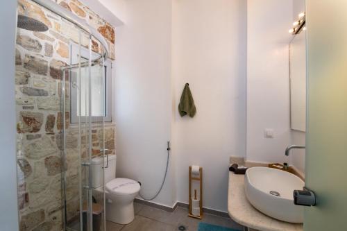 a bathroom with a toilet and a glass shower at Villa Baronnos in Gaios