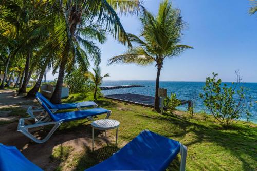 a beach with blue chairs and palm trees and the ocean at Hotel Cocoliso Island Resort in Isla Grande