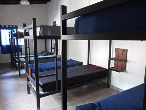 a group of bunk beds in a room at Hostel El Alamo in Maimará