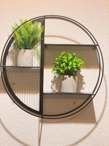 a mirror hanging on a wall with two potted plants at أوبال ستاي المطار in Abha