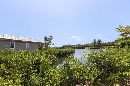 a house next to a river with bushes at Beyond the Blue Casita in Placencia