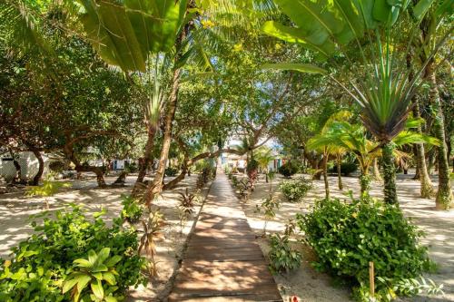 a row of palm trees in a park at Condo #24 @ Beachside Villas in Placencia