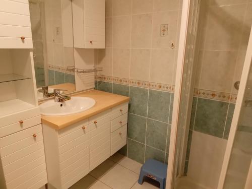 a bathroom with a sink and a shower at Appartement 2chb et balcon au centre de Nyons in Nyons