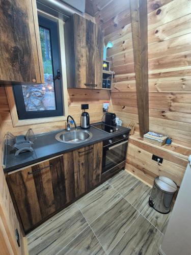 a kitchen with a sink in a wooden cabin at Villa Evergreen Žabljak in Žabljak