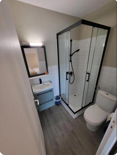 a bathroom with a shower and a toilet and a sink at Studio Havane avec clim in Bourbonne-les-Bains