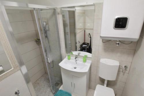 Apartments with WiFi Rozac, Umag - 27233