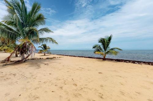 two palm trees on a sandy beach next to the ocean at Green Tower House in Placencia