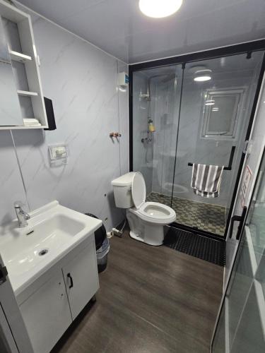 a bathroom with a shower and a toilet and a sink at Villa Mi casita el paraiso costero in Aguada