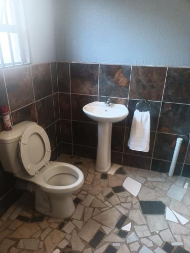 a bathroom with a toilet and a sink at Lifeshed in Johannesburg