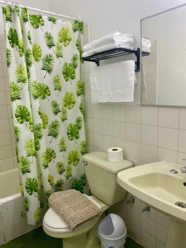 a bathroom with a toilet and a shower curtain at Apart Hotel Colon in La Serena
