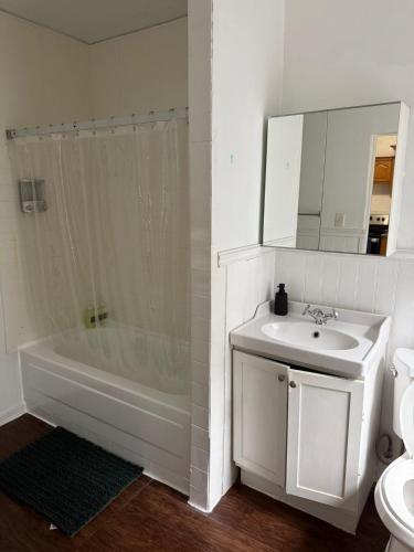 a bathroom with a sink and a shower and a toilet at Madison - Shared apartment in New York