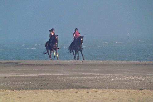 two people riding horses on the beach at Ca' Adami in Brussa