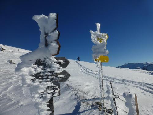 a snow covered pole with a cross in the snow at Haus Rosi in Uttendorf