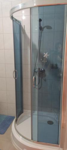 a shower with a glass door in a bathroom at Буркут in Yaremche