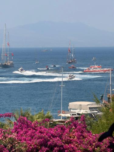 a group of boats in the water with boats at DORTMEVSİM Hotel in Bodrum City
