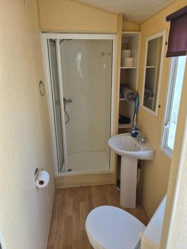 a bathroom with a shower and a toilet and a sink at Cabin Sleeps 6 with access outdoor Pool in Sandown