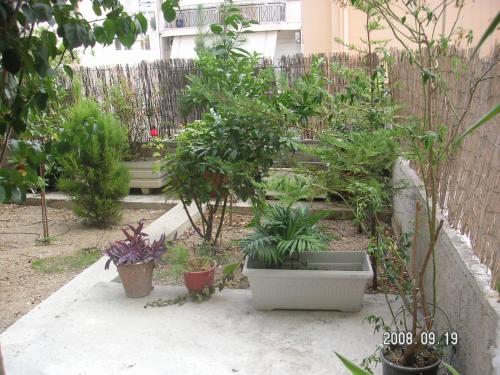 23 sqm Furnished Flat - Gyzi, Athens