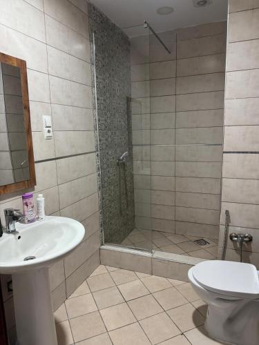 a bathroom with a shower and a sink and a toilet at Residence Jade in Bir el Djir