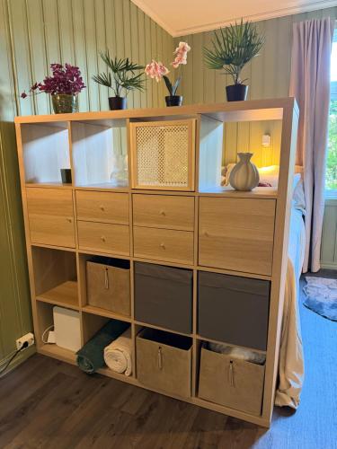 a wooden dresser in a bedroom with plants on it at Central Studio apartment in Notodden