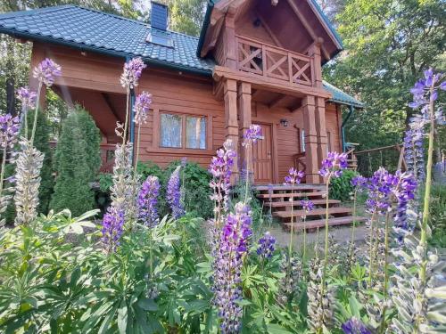 a log cabin with purple flowers in front of it at Przystanek Jezioro - Kaszuby in Studzienice