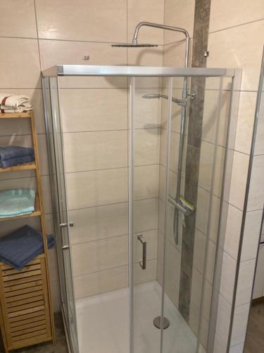 a shower with a glass door in a bathroom at Apartment far away from Africa in Steinach