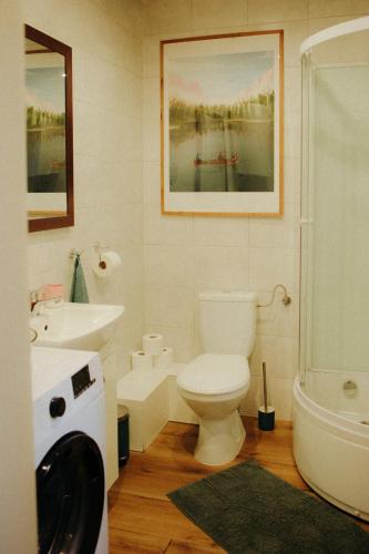 a bathroom with a toilet and a sink and a washing machine at Jarzębinowa - artystyczny dom na Podlasiu in Łuka