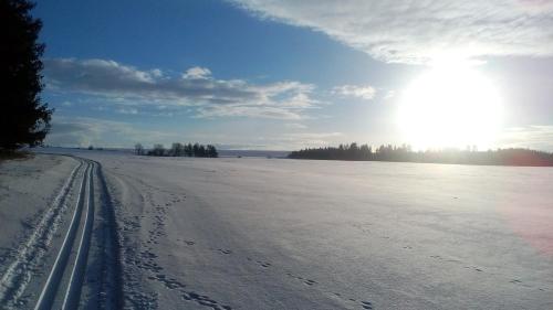 a snow covered field with the sun in the sky at Apartment Zelená zahrada in Mladá Vožice