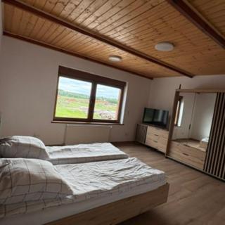 a bedroom with a large bed and a window at Apartament u Anitki in Trzebnica