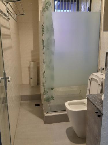 a bathroom with a shower and a toilet at 5and6 Apartments in Abuja