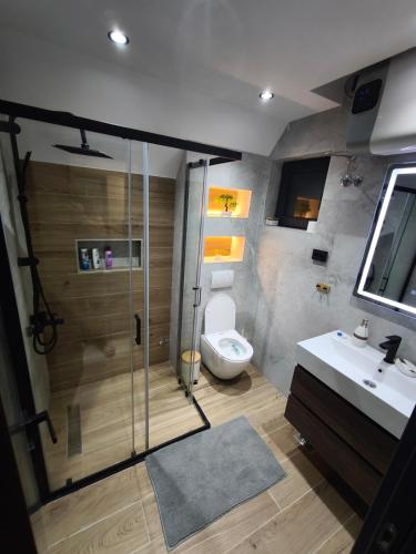 a bathroom with a shower and a toilet and a sink at Top Hill Vista in Sekulić 