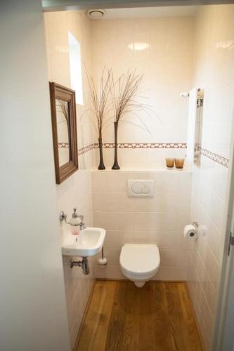 a white bathroom with a toilet and a sink at Weidevilla XXXL in Hollum